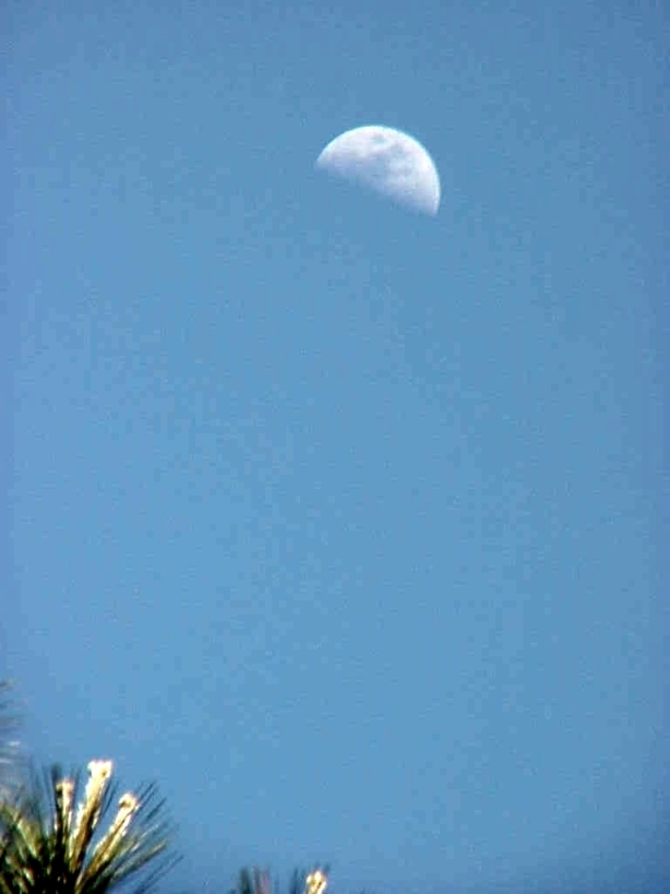Daytime Moon - Gus Kilthau Daytime Moon - Gus Kilthau