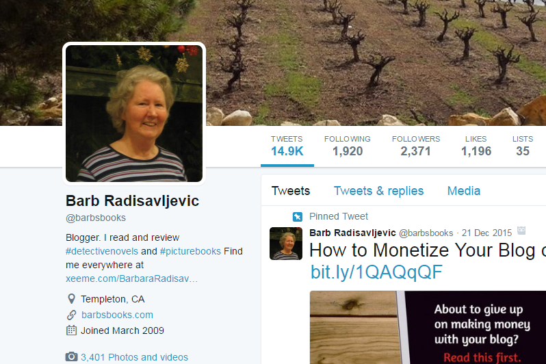 One of my Twitter Profiles One of my Twitter Profiles