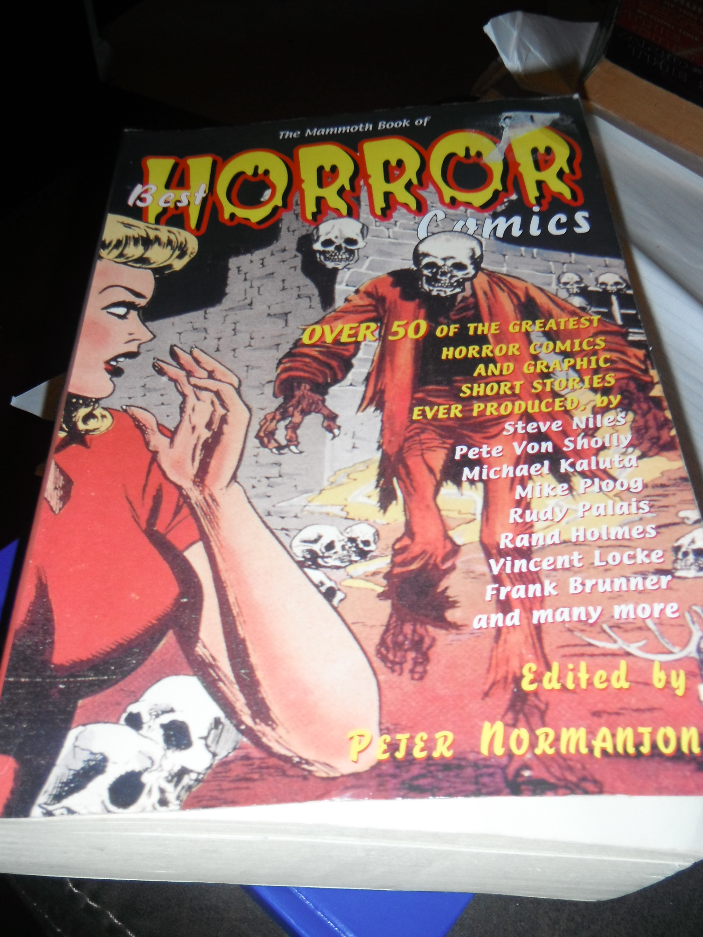 Photo taken by me – horror book cover 