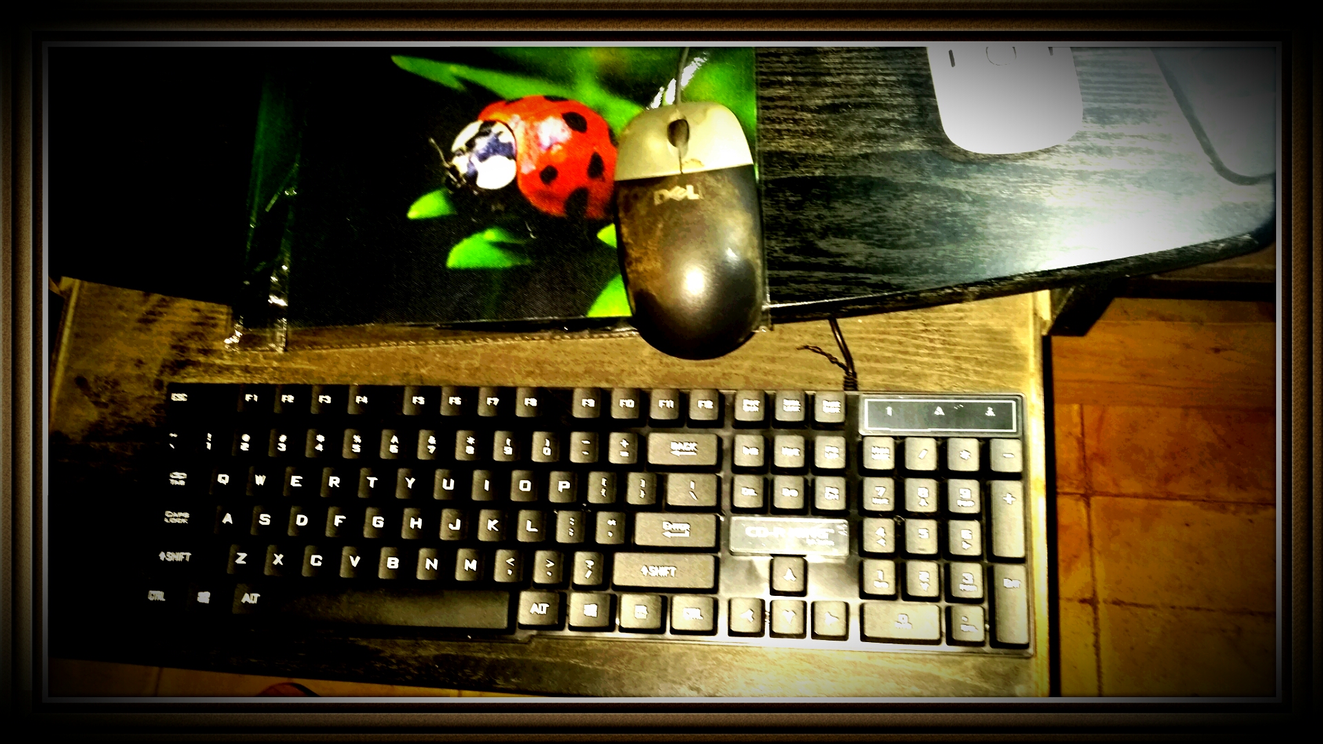 my mouse pad and my new keyboard. my mouse pad and my new keyboard.