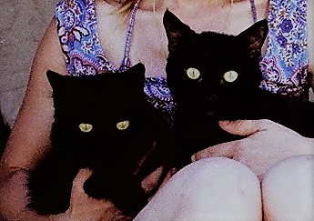 My first 2 pets, Prissy, left and Stanley, right. My first 2 pets, Prissy, left and Stanley, right.
