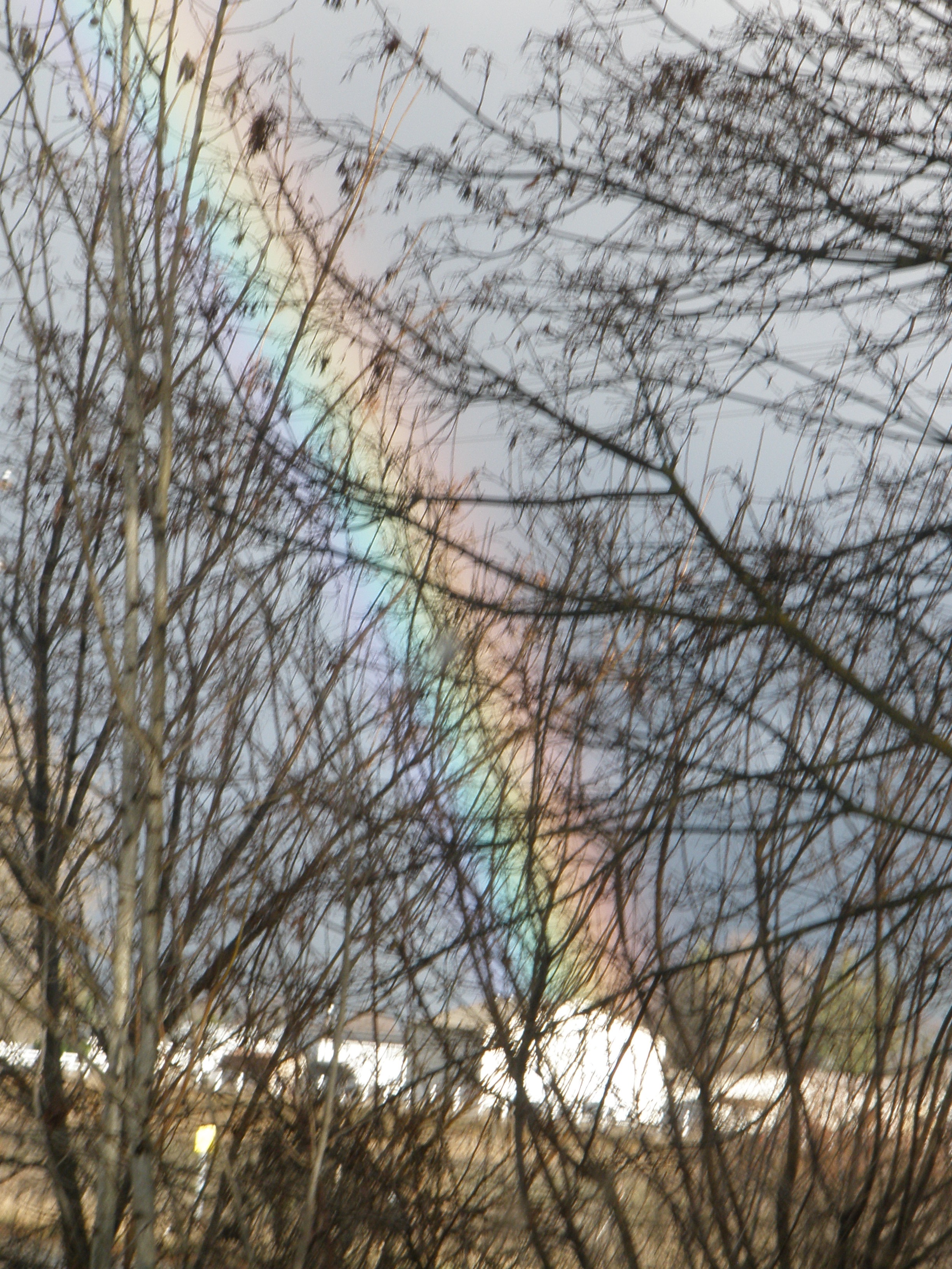 Rainbow taken out of my window. © 2017 by Richard L. Meister Jr.