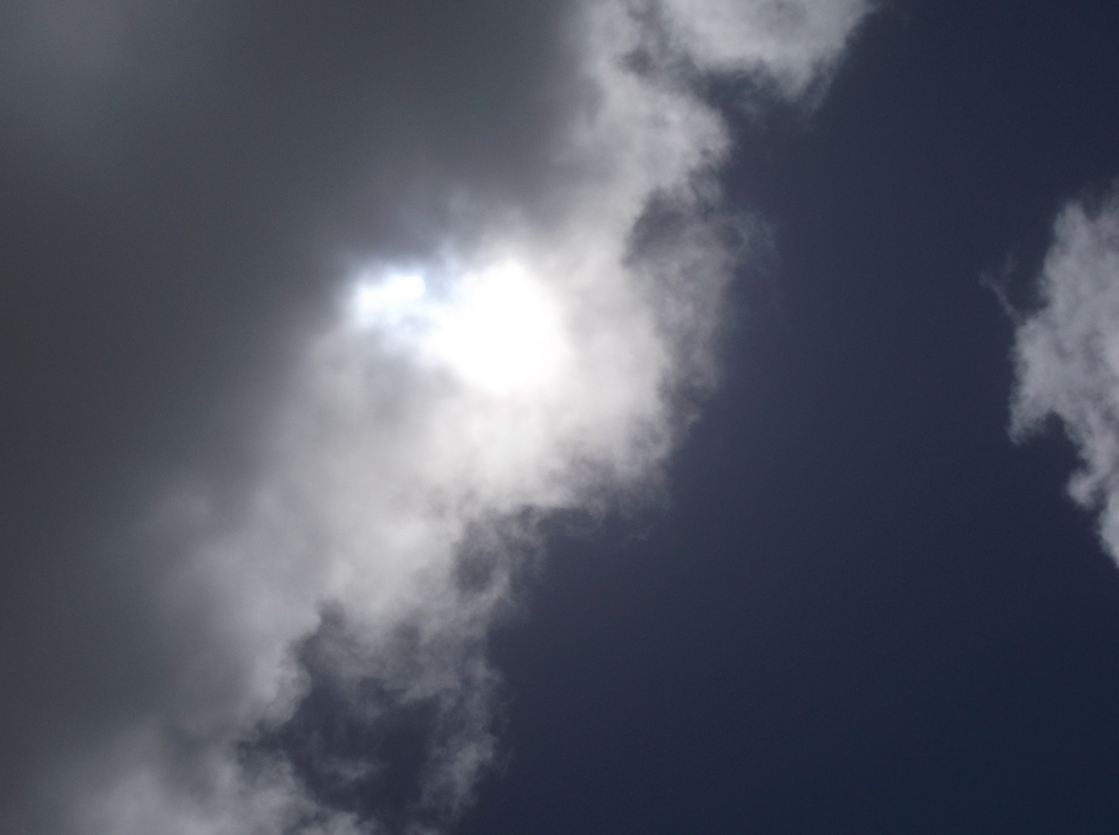Photo taken by me 4-8-17
