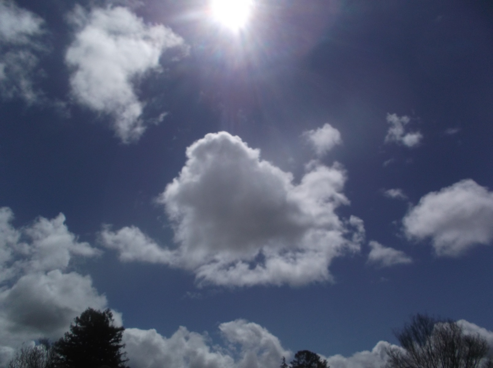 Photo taken by me 4-8-12 Photo taken by me 4-8-12