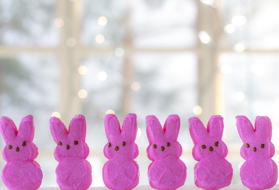 https://pixabay.com/en/easter-bunny-peeps-pink-peeps-2120601/ https://pixabay.com/en/easter-bunny-peeps-pink-peeps-2120601/
