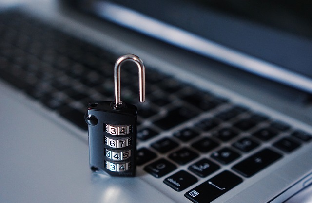 https://pixabay.com/en/computer-security-padlock-hacker-1591018/