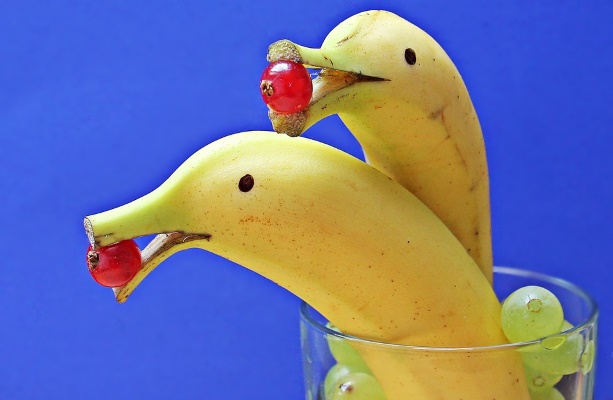 Dolphin Bananas