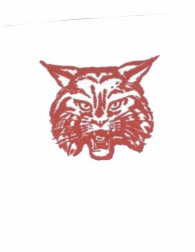 Wildcat Face - Wildcat Face