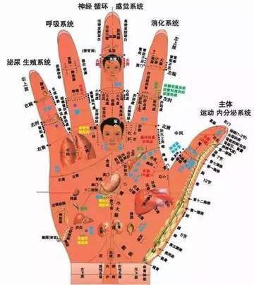 Chinese medication, hand, health, 