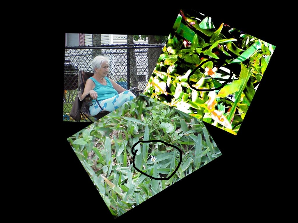 Esther watching weeds - Gus Kilthau Esther watching weeds - Gus Kilthau