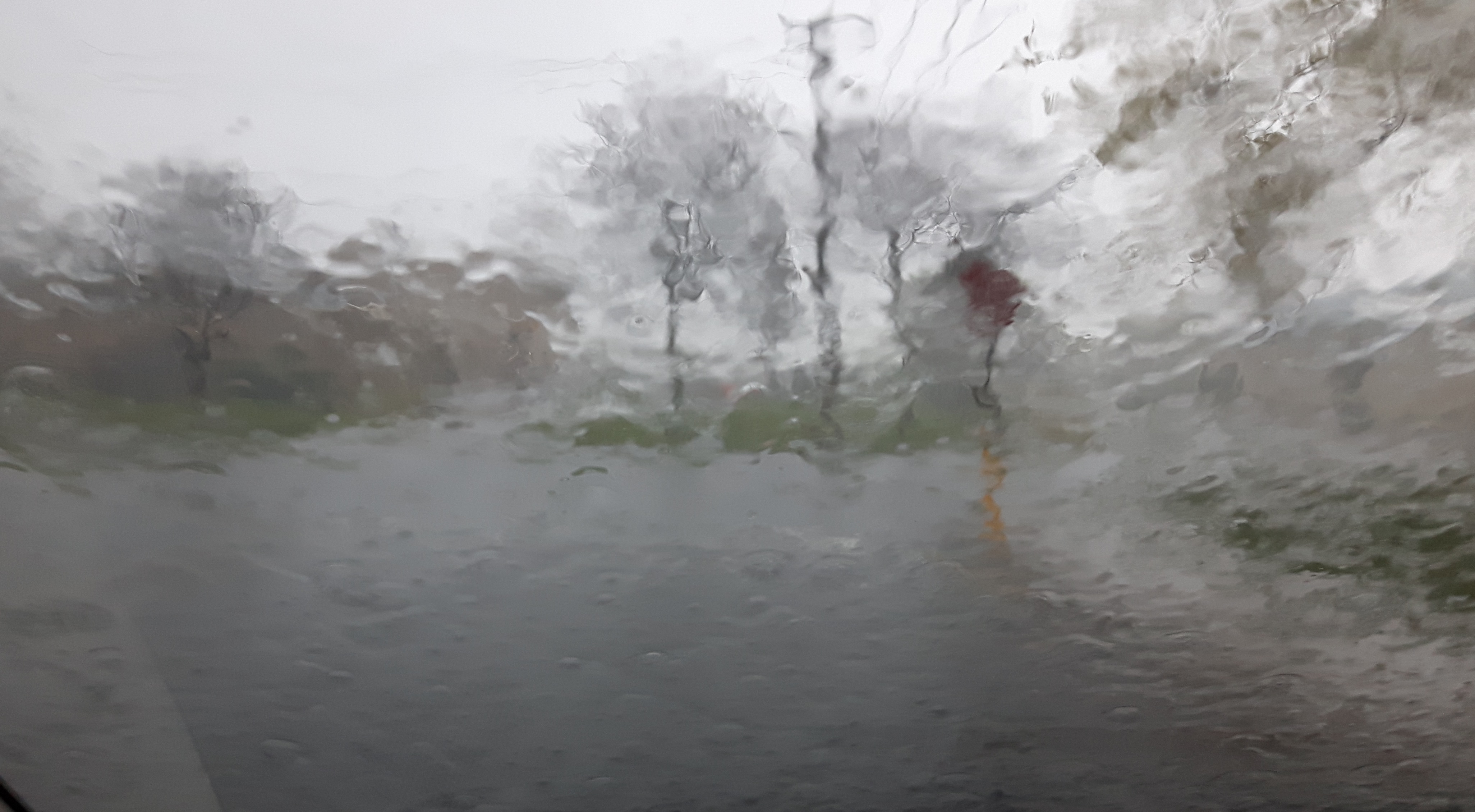 Rain, through my windshield