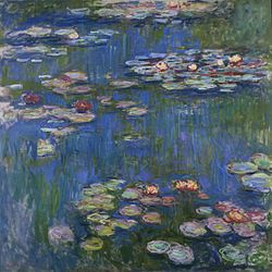 Water Lilies Water Lilies