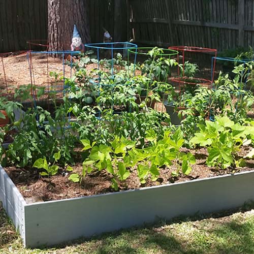 My Little Garden