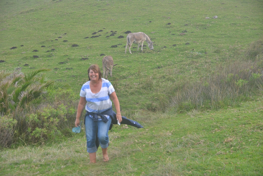 Transkei coastline South Africa