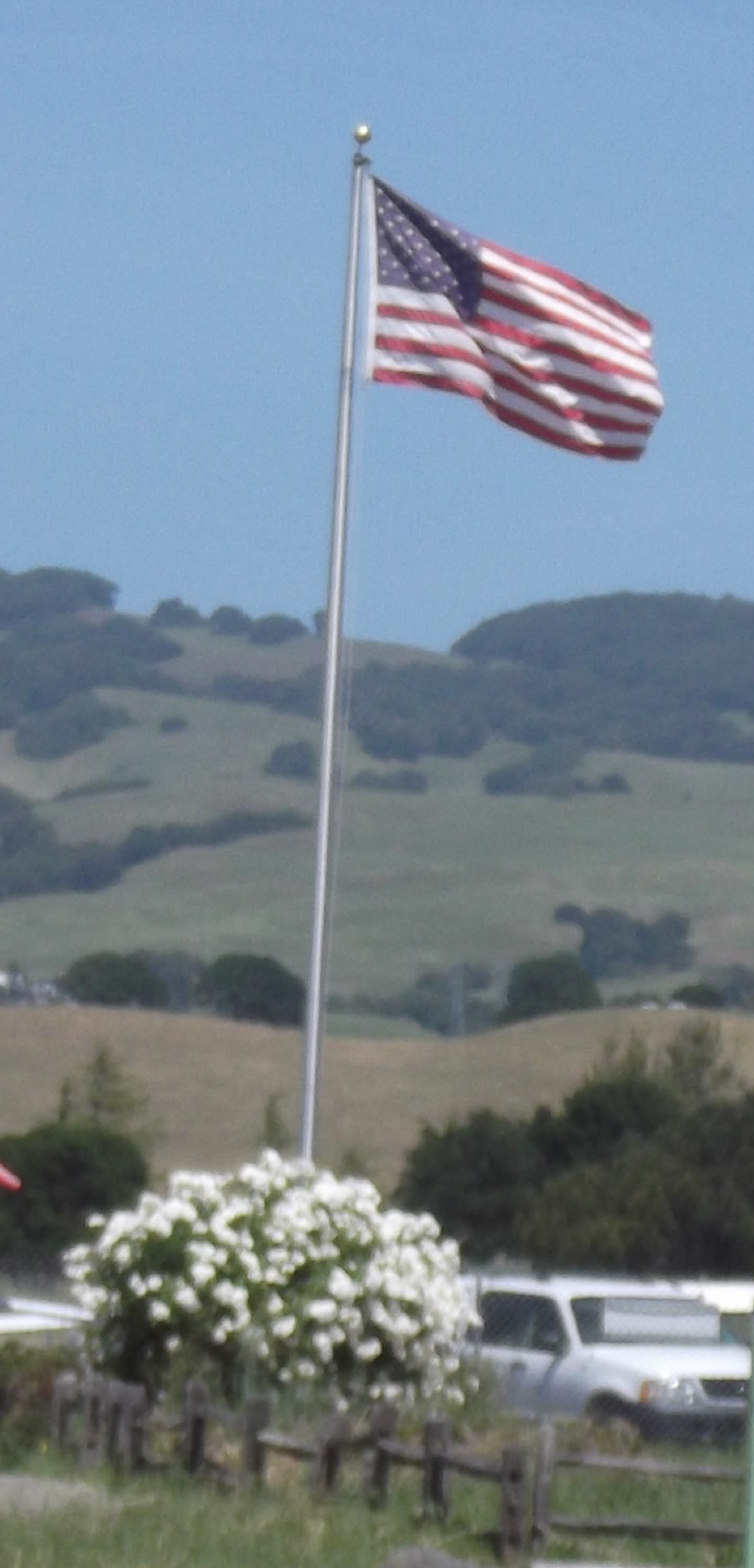 Photo taken by me on a walk with Angel, 5-9-17 Photo taken by me on a walk with Angel, 5-9-17