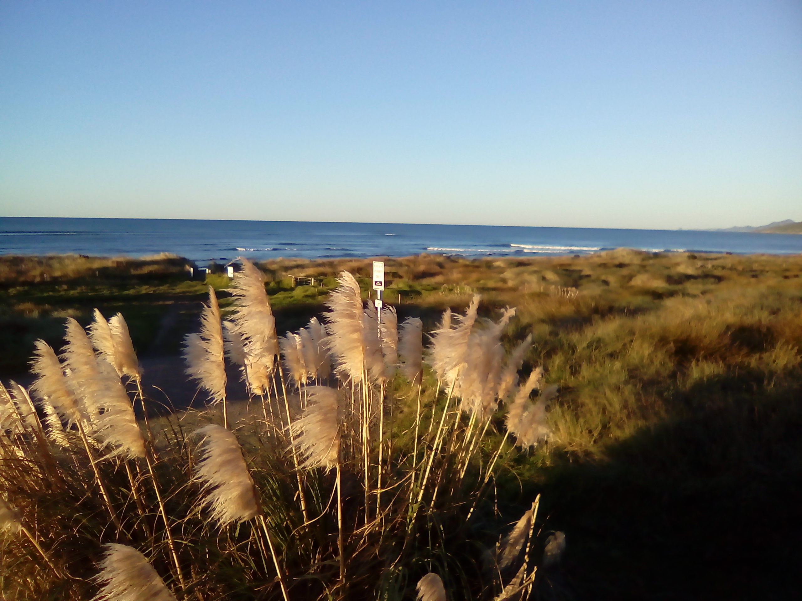 Akitio Beach, New Zealand, May 2017