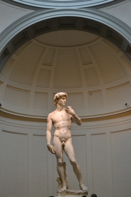 Michelangelo&#039;s David. Florence. 