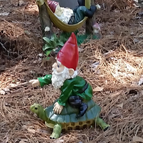 George, my latest garden gnome George, my latest garden gnome