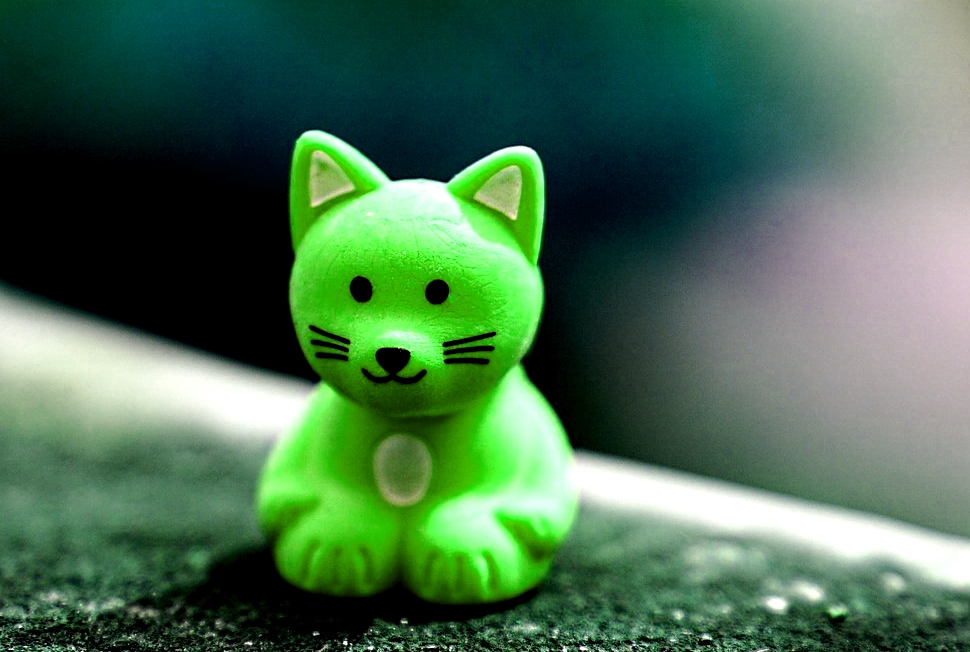 Toy Cat from Pixabay.com Toy Cat from Pixabay.com