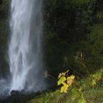 Waterfall in Oregon - oregeon waterfall