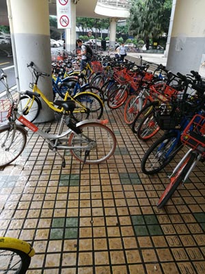 sharing bikes