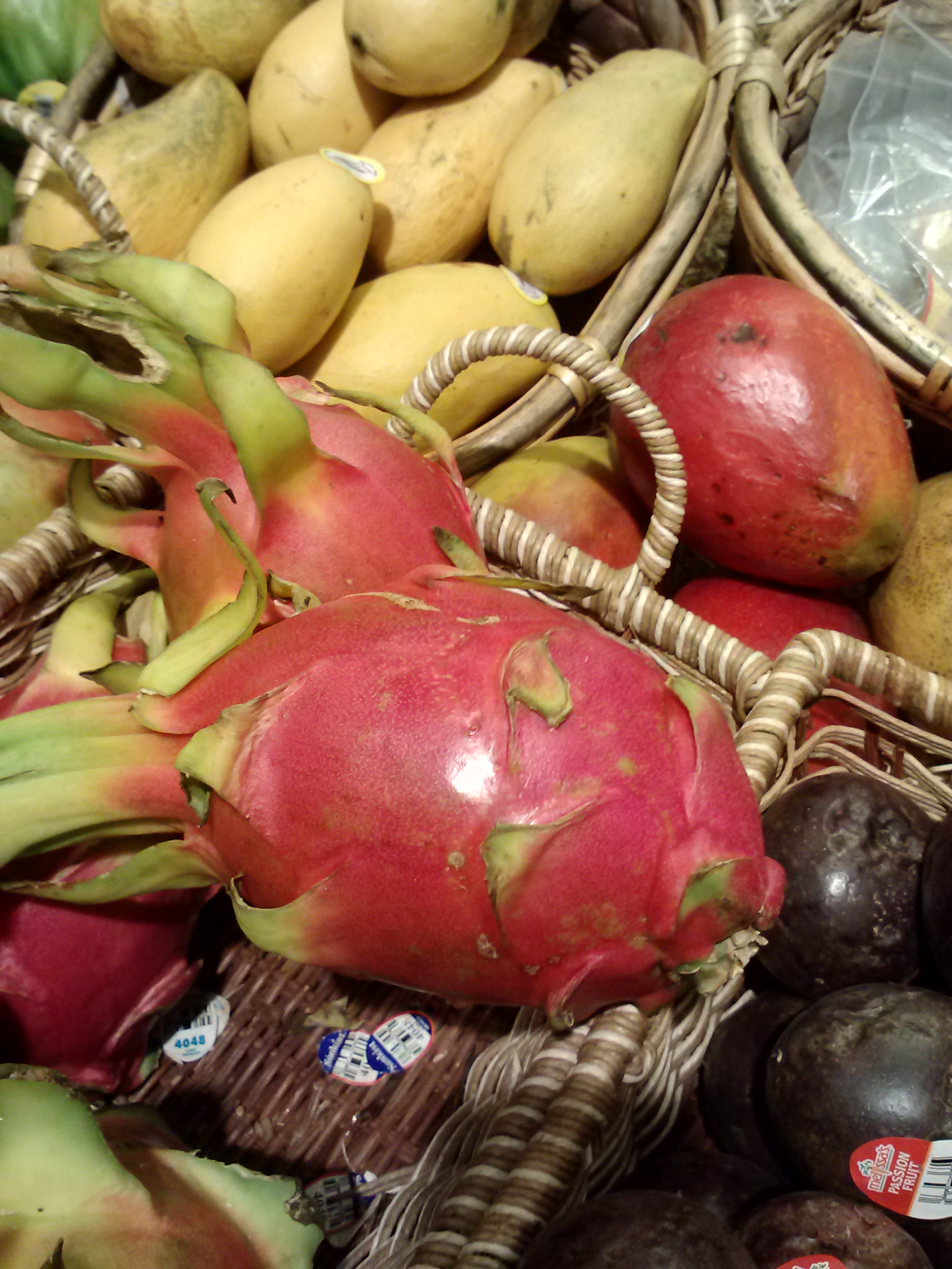 Dragon Fruit by Pat Z Anthony