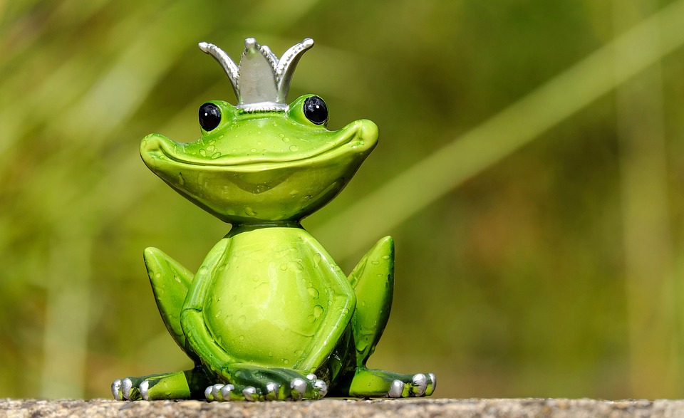 https://pixabay.com/en/frog-figure-king-cute-funny-sweet-2240764/ https://pixabay.com/en/frog-figure-king-cute-funny-sweet-2240764/