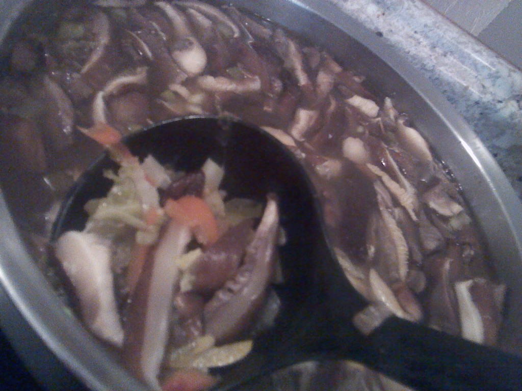 Photo of mushrooms in hot and sour soup by Pat Z Anthony