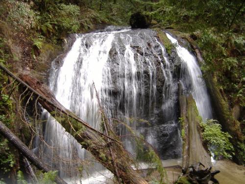 Waterfall - I took this picture at work, it's a pretty waterfall located in some watershed along the north coast, just south of Ft. Bragg and jug handle state park. We were doing log outs and trail maintenance that day.
