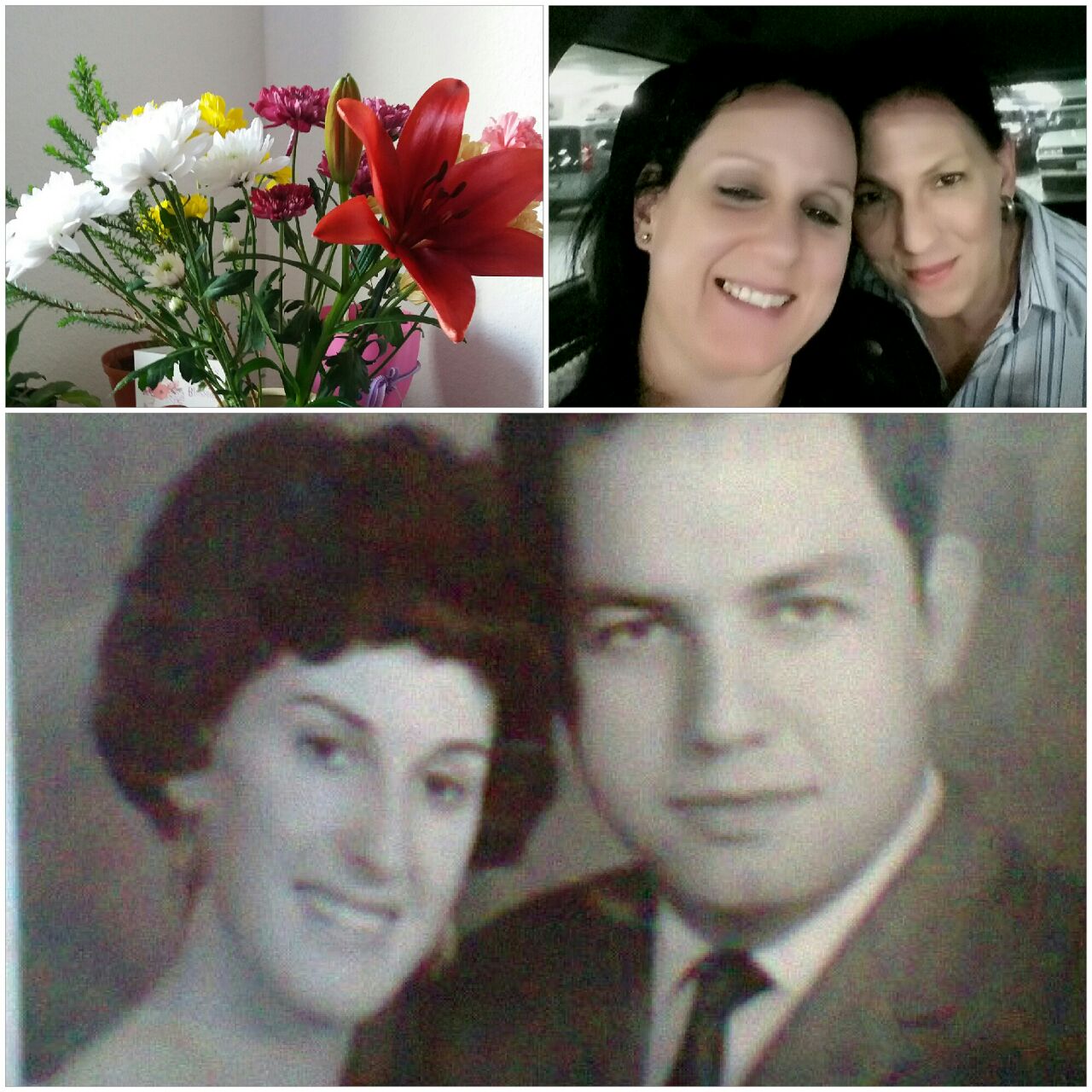 A collage on a special day A collage on a special day