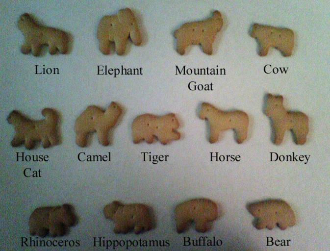 https://snappygoat.com/s/?q=animal+crackers#9b7927ff55bd3a44b1d51041a2c01e1a5fa13026,0,2. https://snappygoat.com/s/?q=animal+crackers#9b7927ff55bd3a44b1d51041a2c01e1a5fa13026,0,2.
