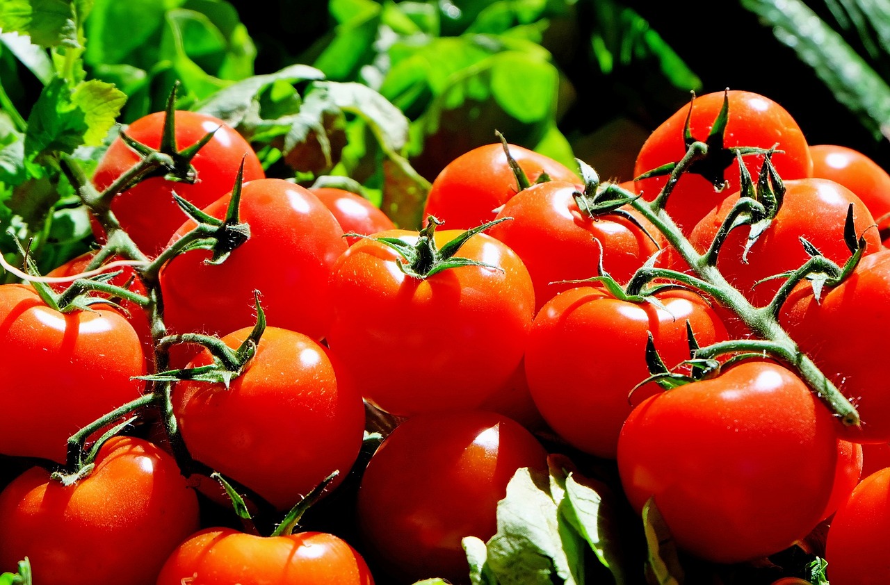 https://pixabay.com/en/tomatoes-red-food-frisch-market-1280859/ https://pixabay.com/en/tomatoes-red-food-frisch-market-1280859/