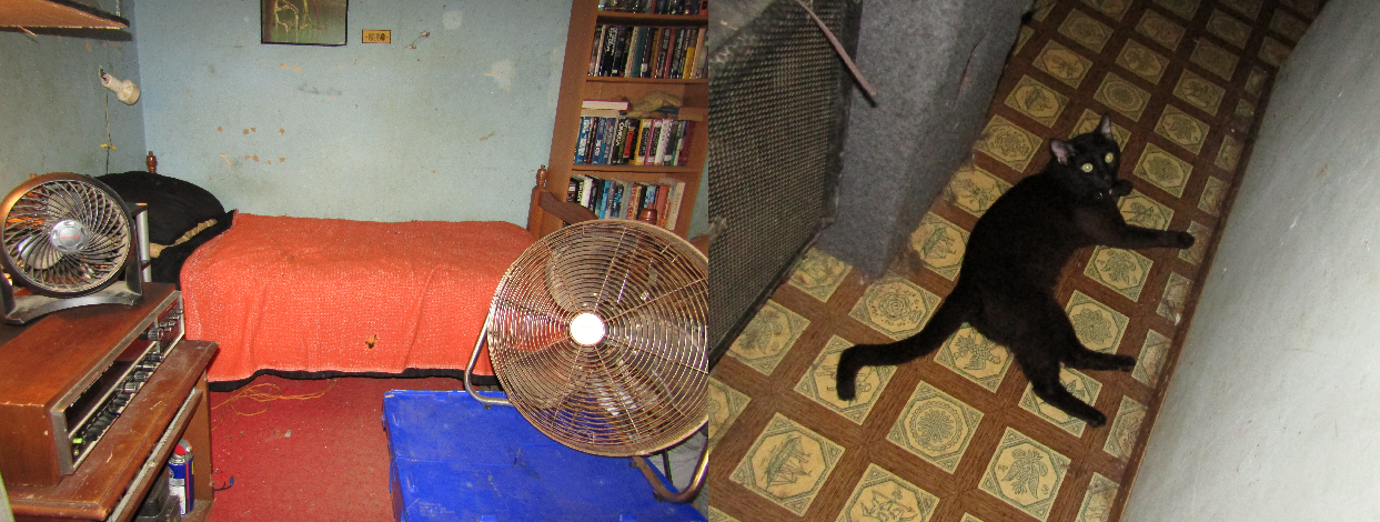 My fan club & Scar chilling in the hallway