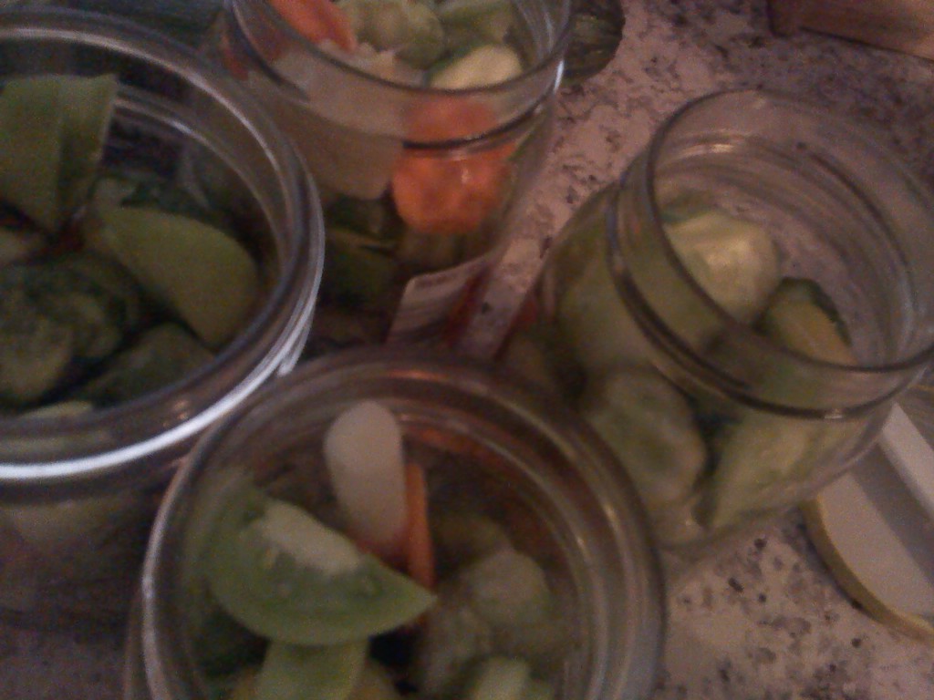 Image of pickled foods by Pat Z Anthony Image of pickled foods by Pat Z Anthony