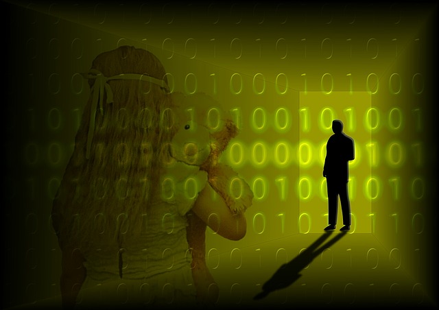 https://pixabay.com/en/internet-risk-anonymous-1235103/