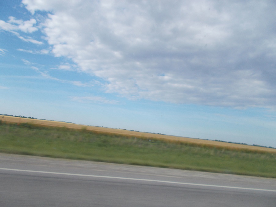 wheat field in Kansas