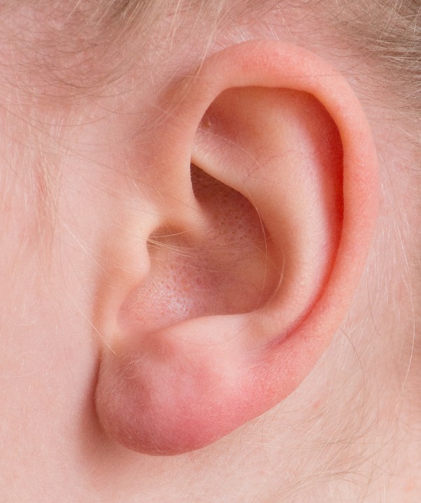 https://pixabay.com/en/ear-auricle-listen-hearing-2372090/ https://pixabay.com/en/ear-auricle-listen-hearing-2372090/