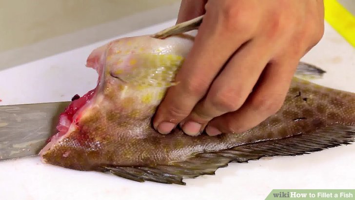 http://www.wikihow.com/Fillet-a-Fish