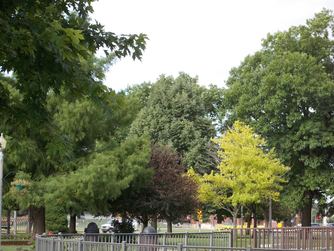 personal photo of McPherson Memorial Park