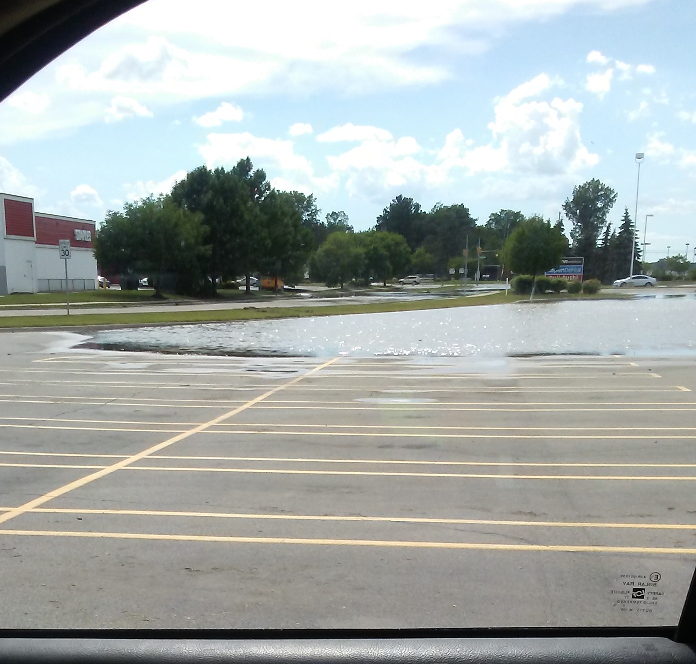 © 2017 Marsha Musselman All rights Reserved. The parking lot where I work still somewhat flooded with water