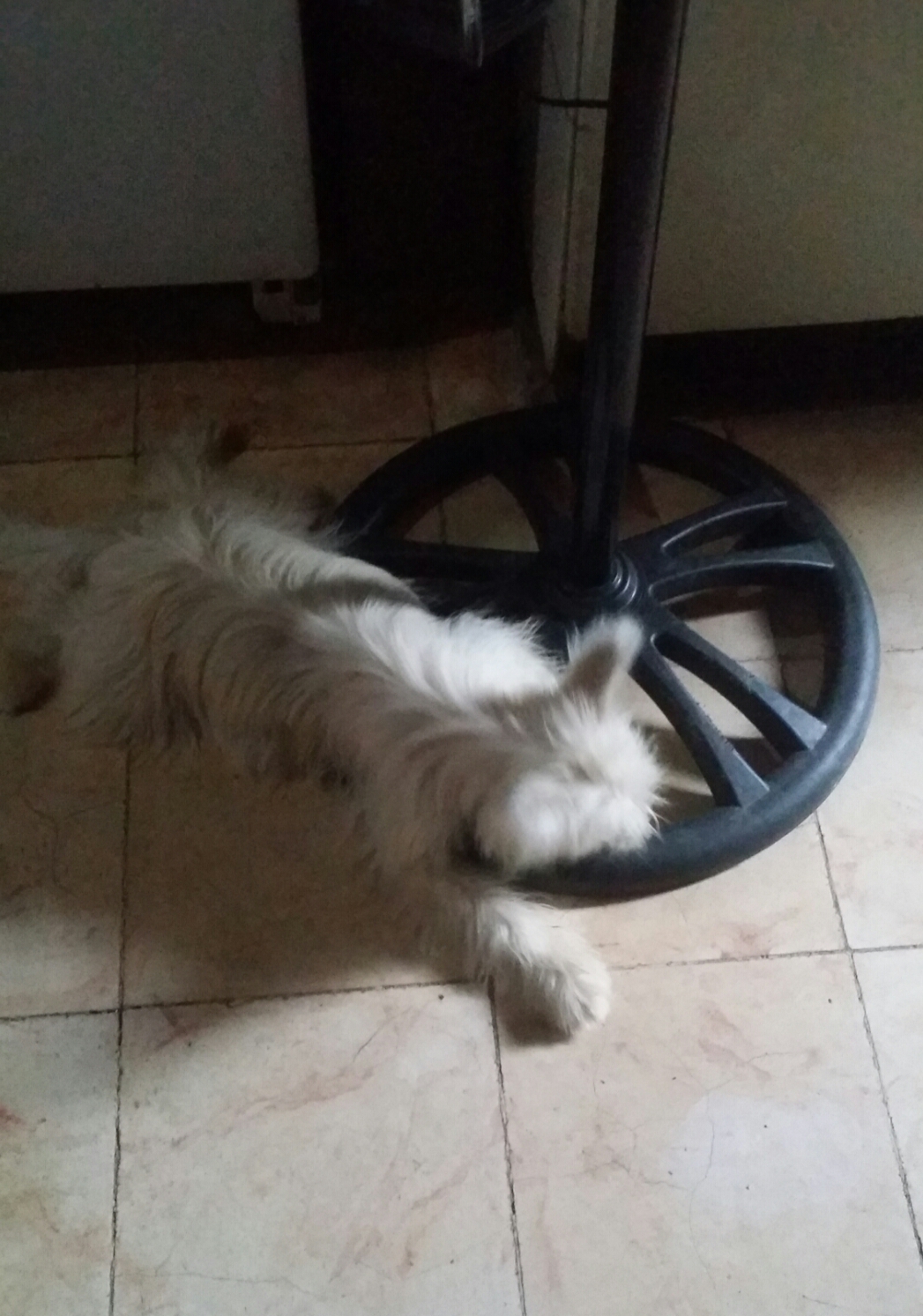 Darna in her nook Darna in her nook