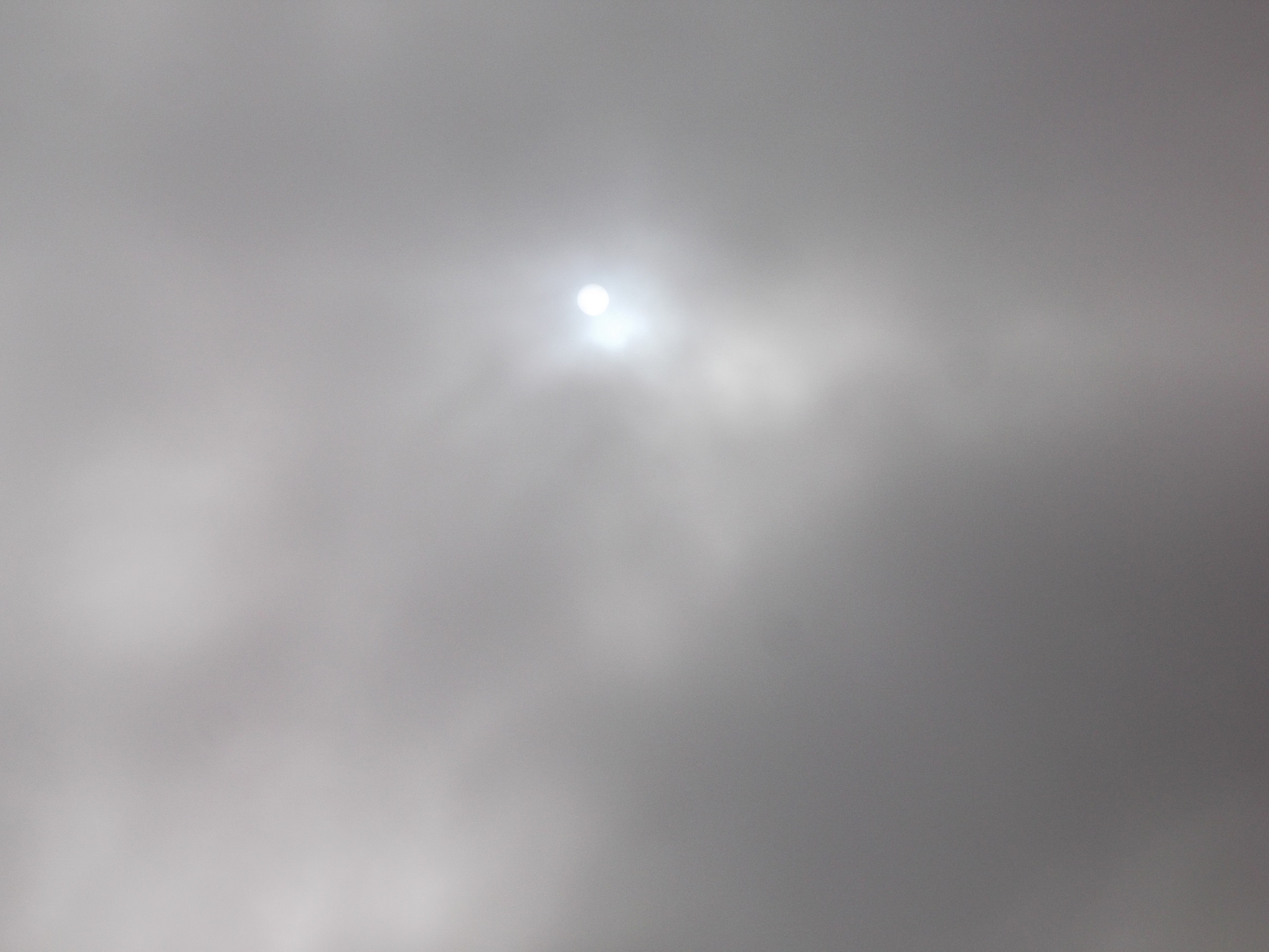 Photo taken by me 6-27-17 Photo taken by me 6-27-17