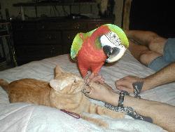 2 of my babies - pets