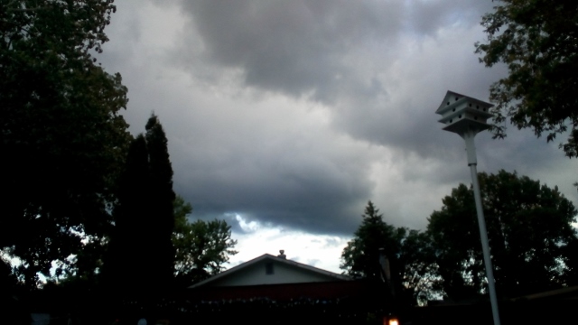 It rained all night - Image is mine @freelanzer