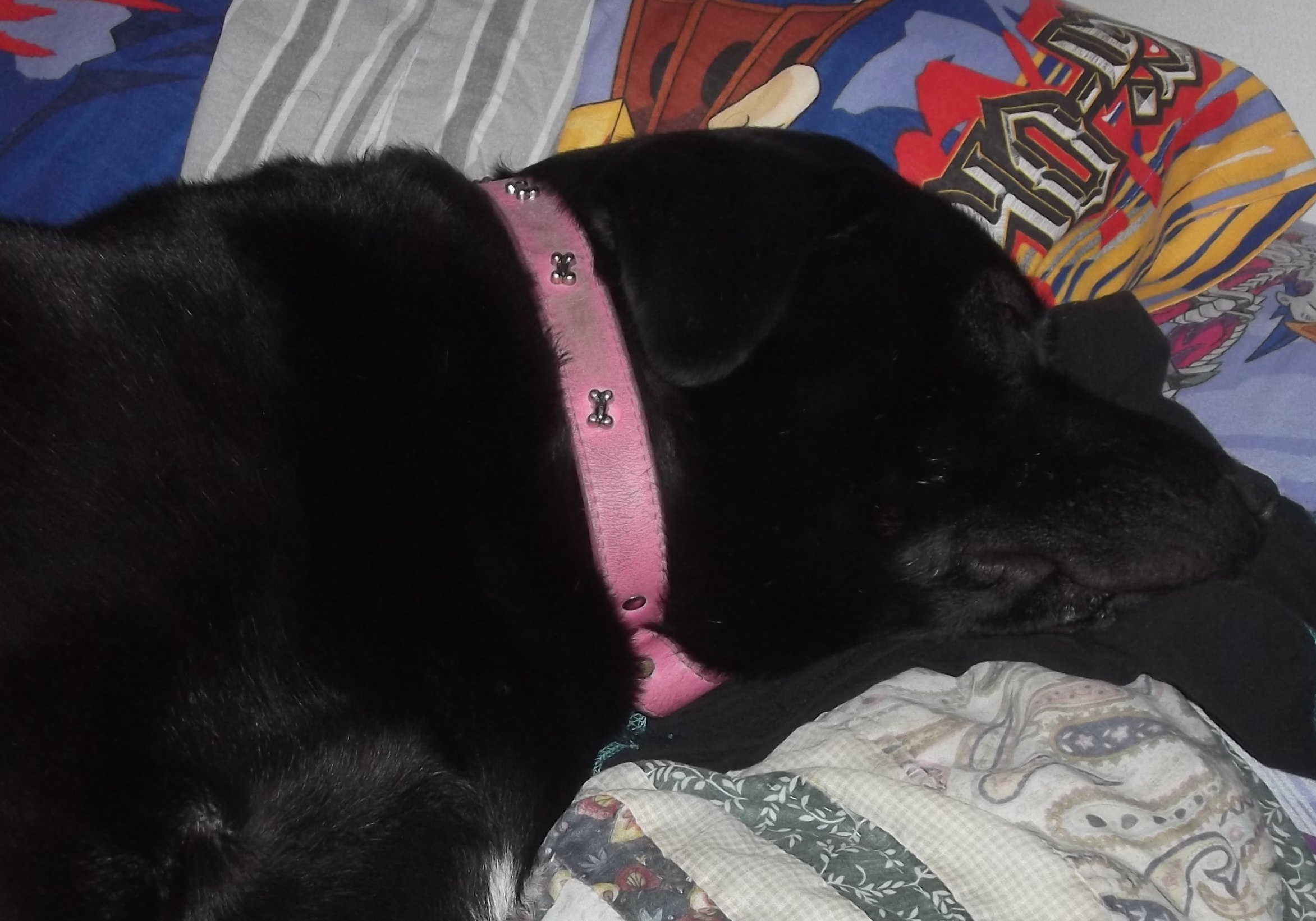 Angel on my bed 7-7-17