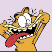 Garfield - Crazy Garfield