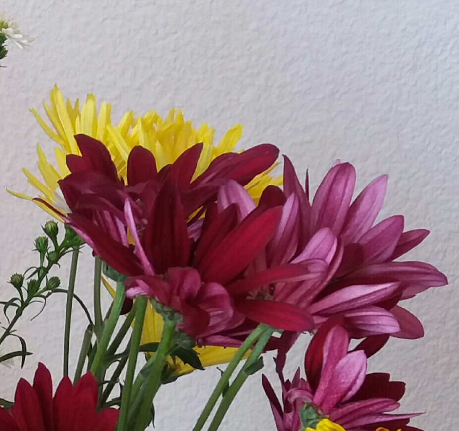Home Flowers Home Flowers