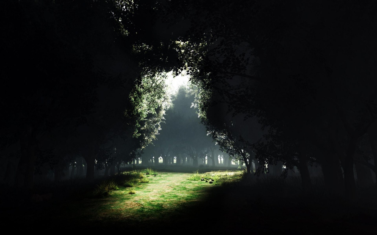 Do not only live within the darkness of your mind