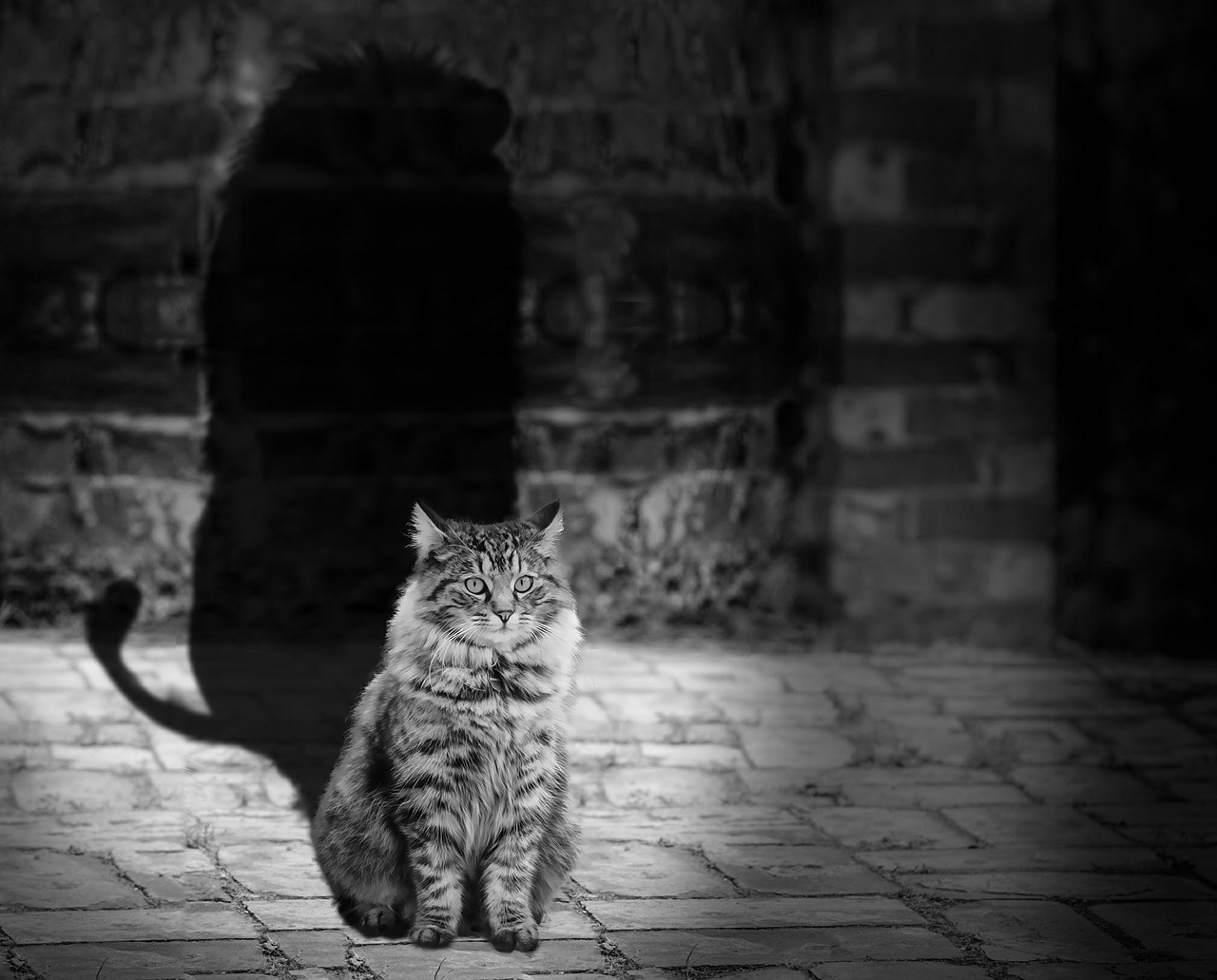 Are you yourself, or your shadow self?