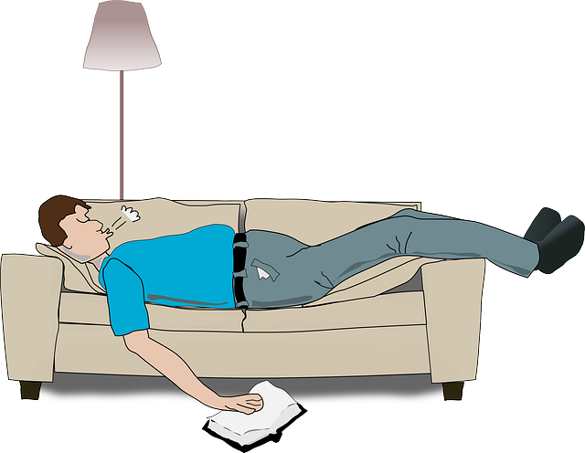 https://pixabay.com/en/guy-couch-sleeping-man-sofa-book-32820/